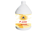 R˹o늉m        P-109